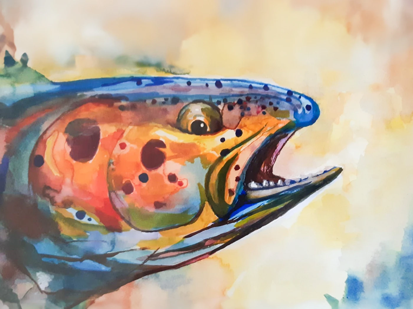 Sommerfischen ab 1. April